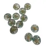 Transparent resin round starfish decorative items, creative handcrafted materials, DIY jewelry accessories, multiple options available Item Picture